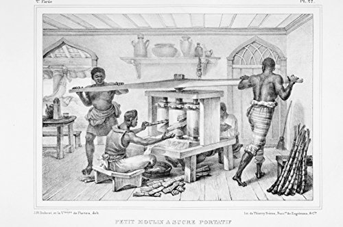 Livro PDF a passagem do trabalho escravo para o assalariado e a origem da industrialização brasileira(segunda edição)