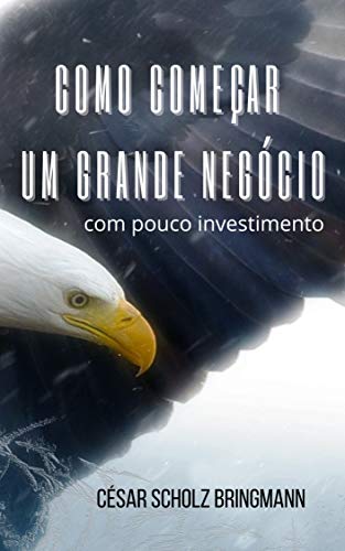 Capa do livro: Como começar um Grande Negócio com pouco investimento - Ler Online pdf