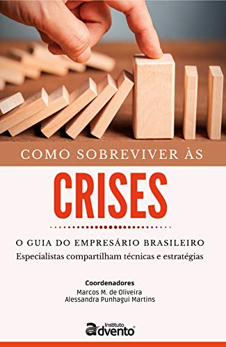 Capa do livro: Como sobreviver às crises – o guia do empresário brasileiro - Ler Online pdf