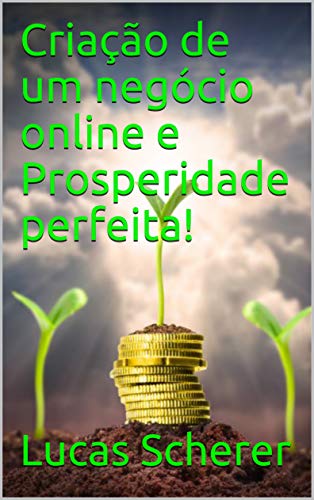 Capa do livro: Criação de um negócio online e Prosperidade perfeita! - Ler Online pdf