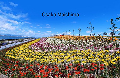Livro PDF Osaka Maishima