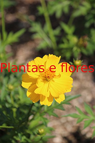 Livro PDF: Plantas e flores