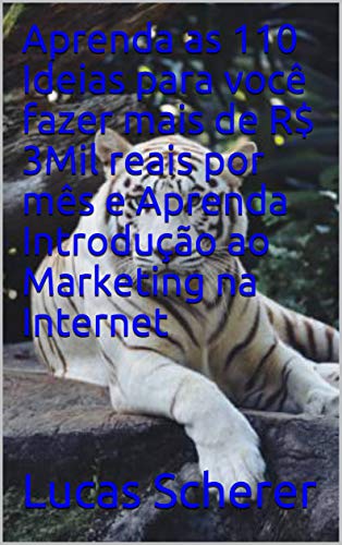 Livro PDF: Aprenda as 110 Ideias para você fazer mais de R$ 3Mil reais por mês e Aprenda Introdução ao Marketing na Internet