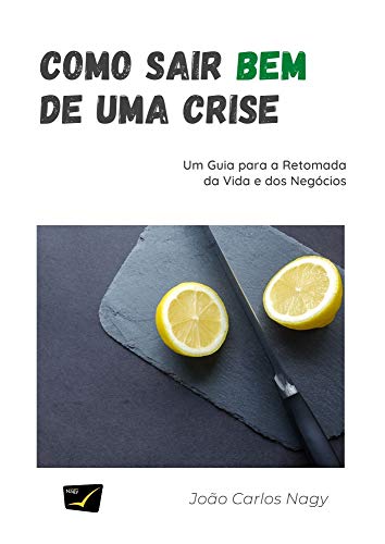 Capa do livro: COMO SAIR BEM DE UMA CRISE: Um Guia para a Retomada da Vida e dos Negócios - Ler Online pdf