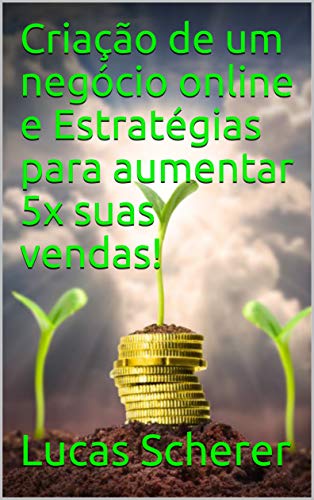 Capa do livro: Criação de um negócio online e Estratégias para aumentar 5x suas vendas! - Ler Online pdf