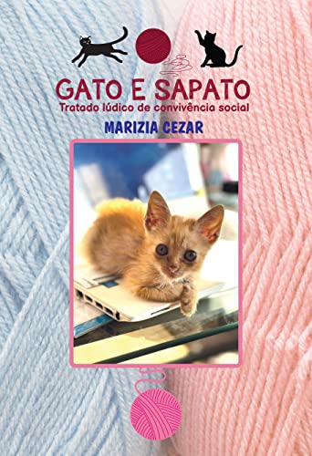 Capa do livro: Gato e Sapato; Tratado Lúdico de Convivência Social - Ler Online pdf