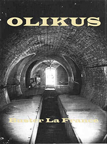 Capa do livro: Olikus (Karosko Livro 1) - Ler Online pdf